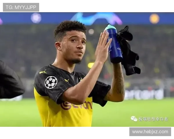 罗威足球星：一颗新星崛起，掀起足坛未来的风暴